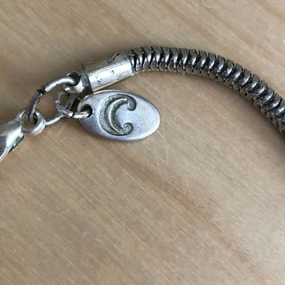 Charming Charlie Silver Choker Snake Chain with Pendant